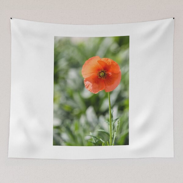 Item preview, Orange Poppy Flower Blooming on Tall Stem Against Soft Green Bokeh Background designed and sold by Nmallia.