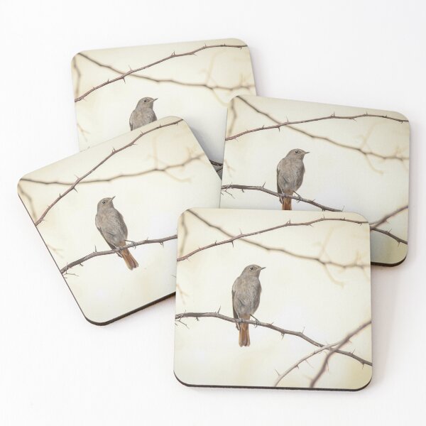Item preview, Small Brown Songbird Perched on Thorny Branches Against Soft Neutral Background, Minimal Nature Composition designed and sold by Nmallia.
