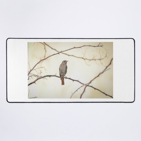 Item preview, Small Brown Songbird Perched on Thorny Branches Against Soft Neutral Background, Minimal Nature Composition designed and sold by Nmallia.