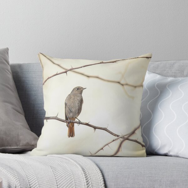 Item preview, Small Brown Songbird Perched on Thorny Branches Against Soft Neutral Background, Minimal Nature Composition designed and sold by Nmallia.