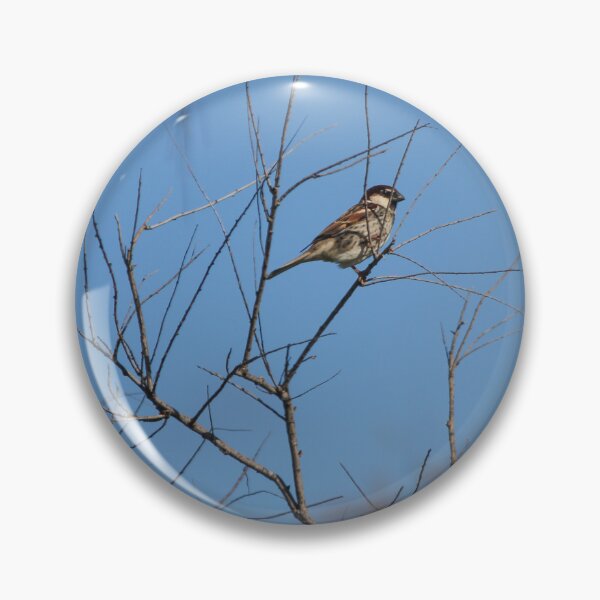 Item preview, Sparrow Perched on Bare Branches Against A Clear Blue Winter Sky, Calm Wildlife Moment designed and sold by Nmallia.