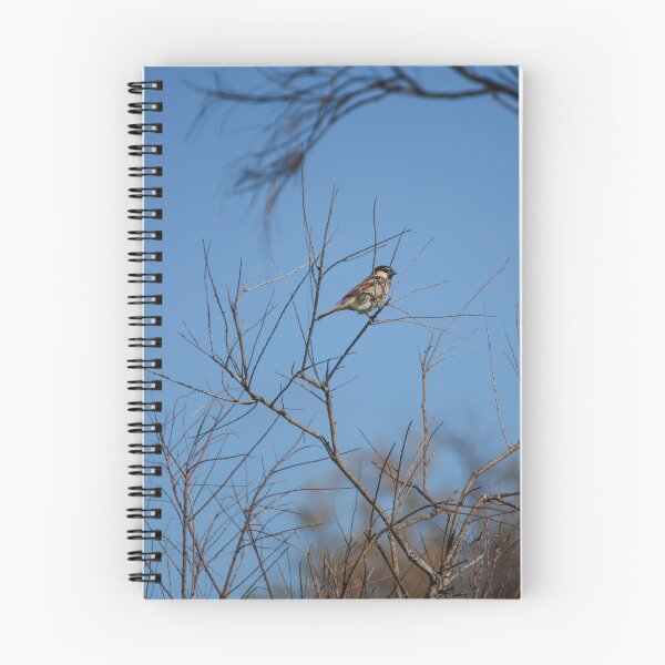 Artikelvorschau, Ein Spatz sitzt auf kahlen Ästen vor einem klaren blauen Winterhimmel – ein friedlicher Moment in der Tierwelt. entworfen und verkauft von Nmallia.