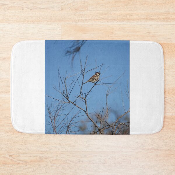 Item preview, Sparrow Perched on Bare Branches Against A Clear Blue Winter Sky, Calm Wildlife Moment designed and sold by Nmallia.