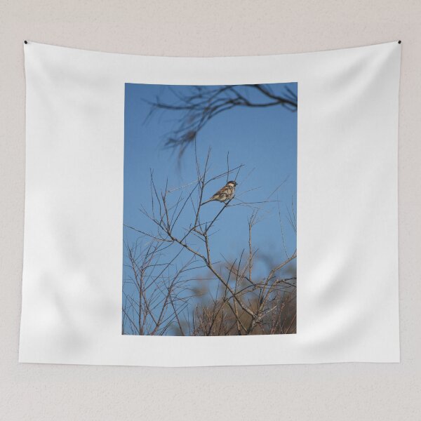 Item preview, Sparrow Perched on Bare Branches Against A Clear Blue Winter Sky, Calm Wildlife Moment designed and sold by Nmallia.