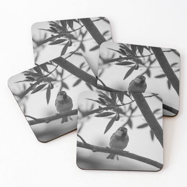 Item preview, Perched Sparrow on Tree Branch in Black-and-White Close-Up Wildlife Portrait designed and sold by Nmallia.