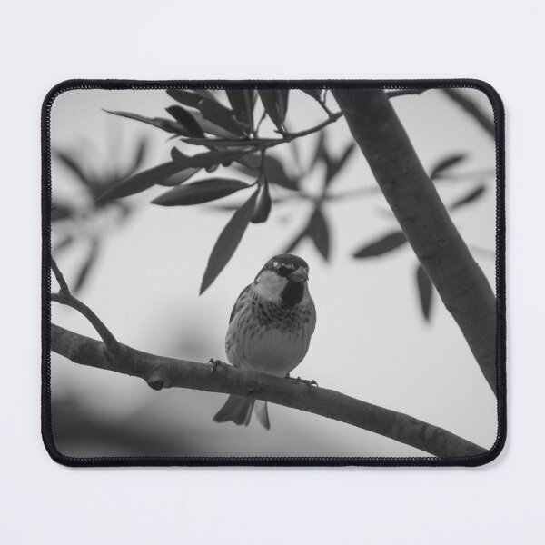Item preview, Perched Sparrow on Tree Branch in Black-and-White Close-Up Wildlife Portrait designed and sold by Nmallia.