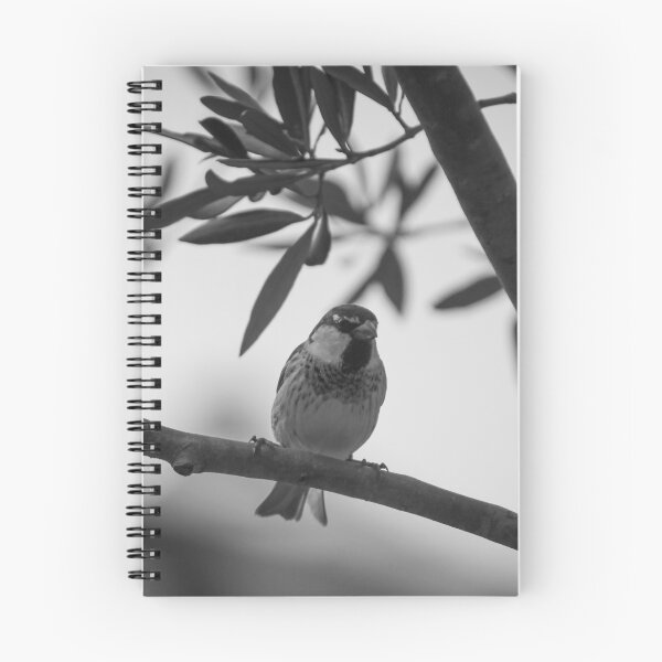 Item preview, Perched Sparrow on Tree Branch in Black-and-White Close-Up Wildlife Portrait designed and sold by Nmallia.