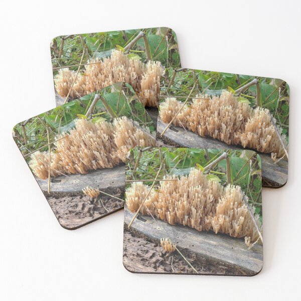 Item preview, Coral Fungus designed and sold by AmazingAmanda42.
