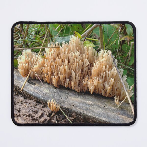 Item preview, Coral Fungus designed and sold by AmazingAmanda42.