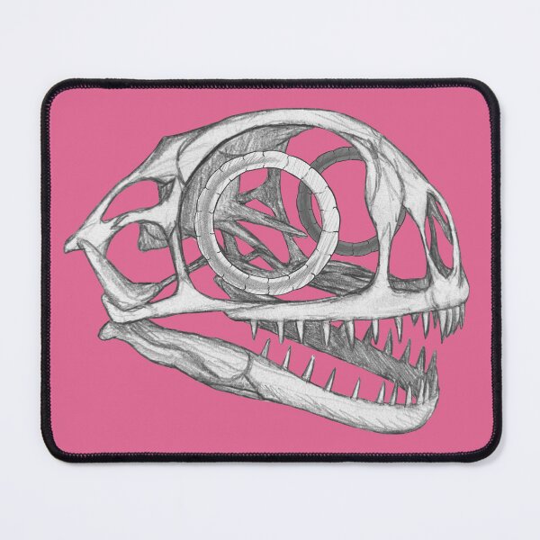 Item preview, Anurognathus skull  designed and sold by DoodleSnake58.