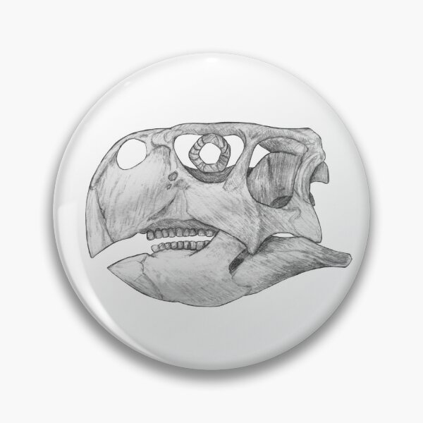 Item preview, Psittacosaurus Skull designed and sold by DoodleSnake58.