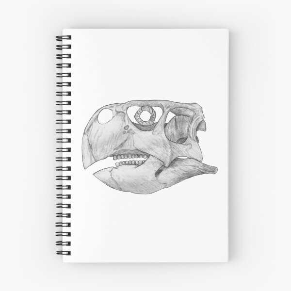 Item preview, Psittacosaurus Skull designed and sold by DoodleSnake58.
