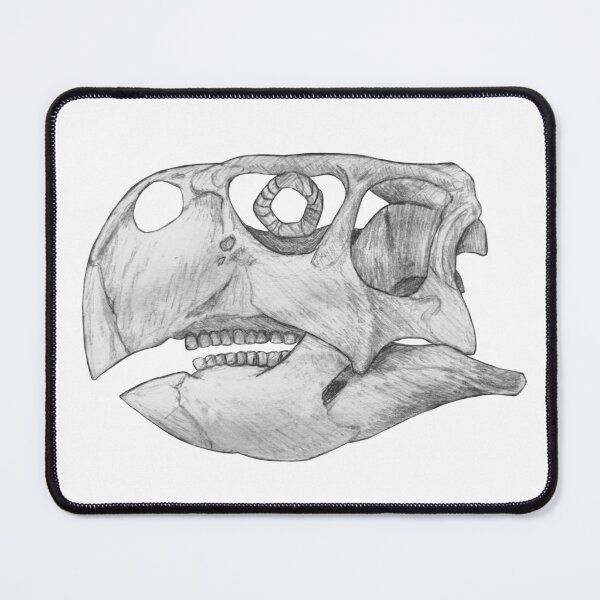 Item preview, Psittacosaurus Skull designed and sold by DoodleSnake58.