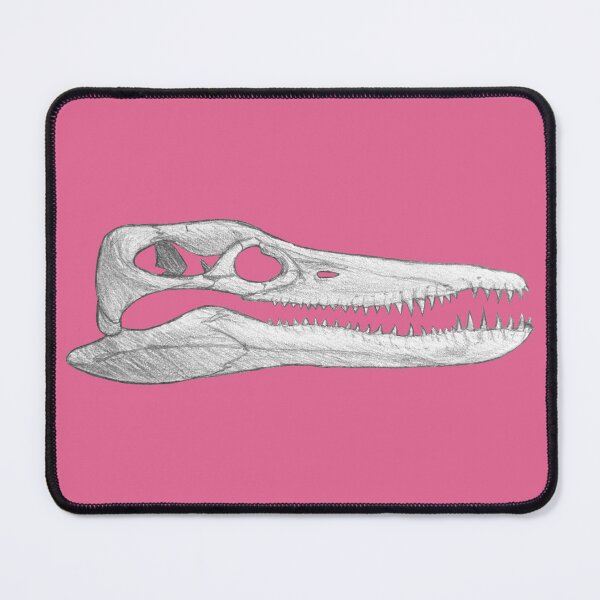 Item preview, Pleiosaurus Skull designed and sold by DoodleSnake58.