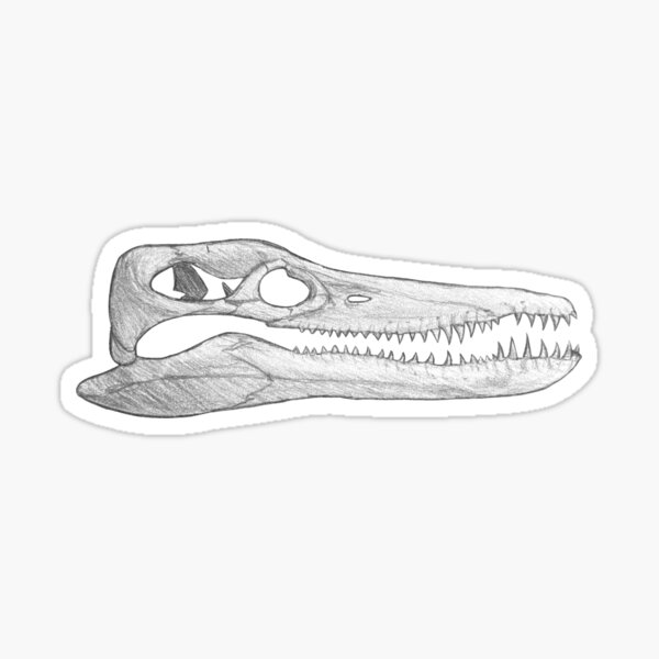 Item preview, Pleiosaurus Skull designed and sold by DoodleSnake58.