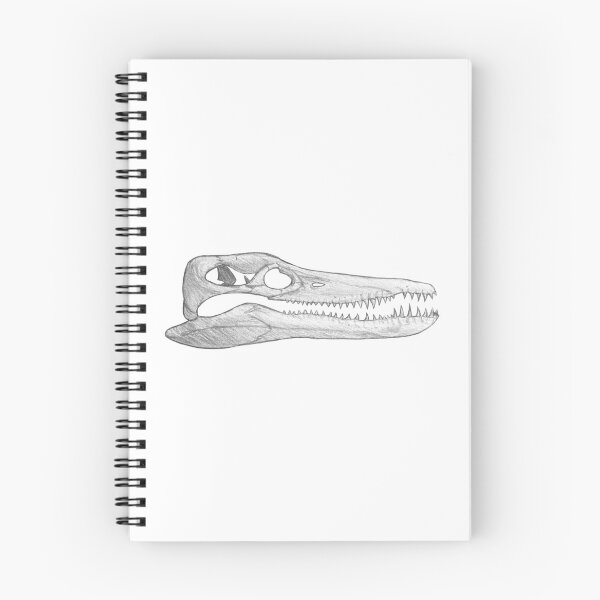 Item preview, Pleiosaurus Skull designed and sold by DoodleSnake58.