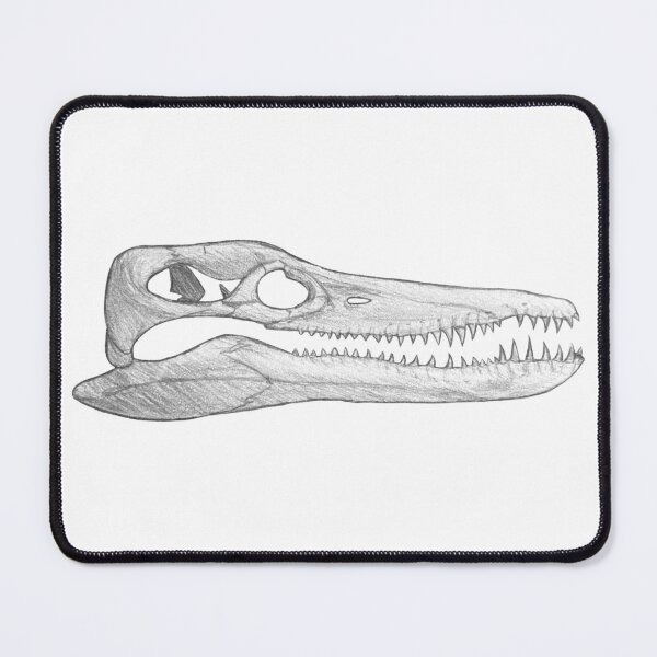 Item preview, Pleiosaurus Skull designed and sold by DoodleSnake58.