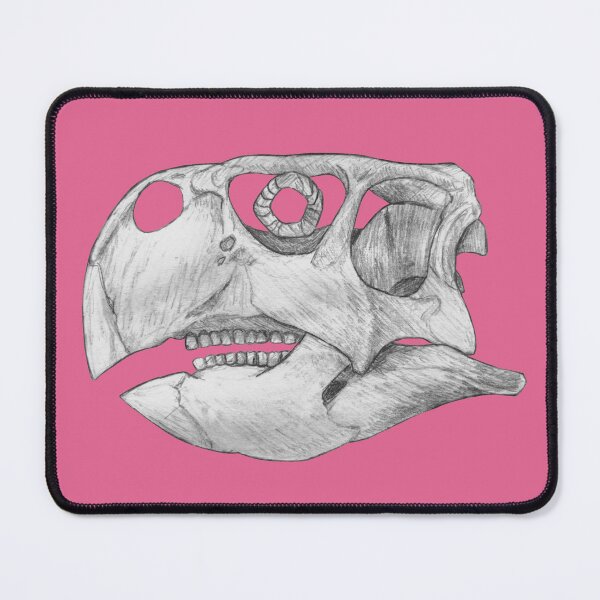 Item preview, Psittacosaurus Skull designed and sold by DoodleSnake58.
