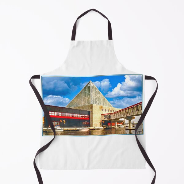 Item preview, National Aquarium, Inner Harbor, Baltimore, Maryland designed and sold by AMacGPhilly.