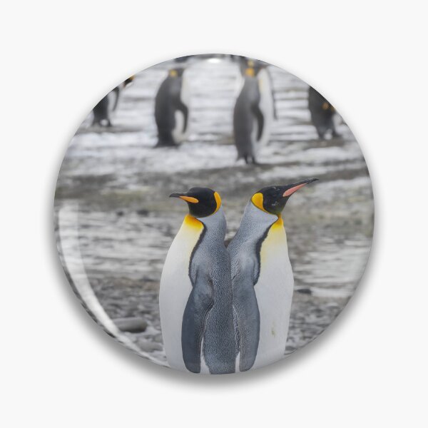Item preview, A Pair of King Penguins designed and sold by PhotoArt by Joan Carroll.