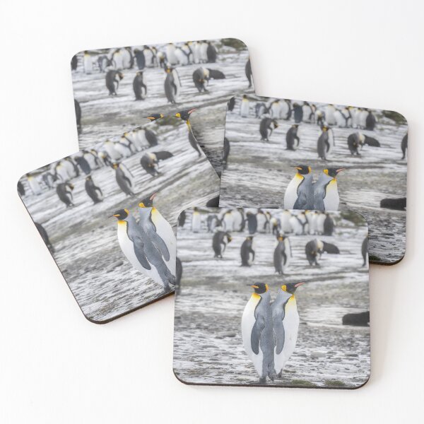 Item preview, A Pair of King Penguins designed and sold by PhotoArt by Joan Carroll.