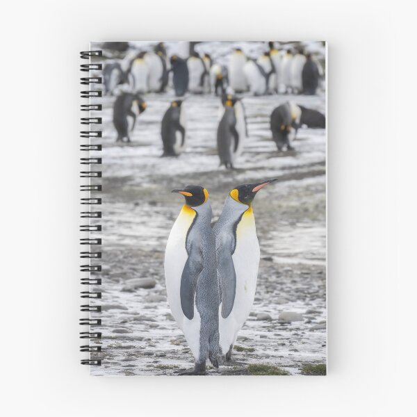 Item preview, A Pair of King Penguins designed and sold by PhotoArt by Joan Carroll.