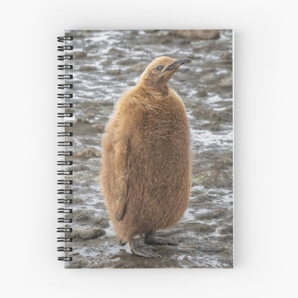 Item preview, Fluffy Penguin Chick in Snow designed and sold by PhotoArt by Joan Carroll.