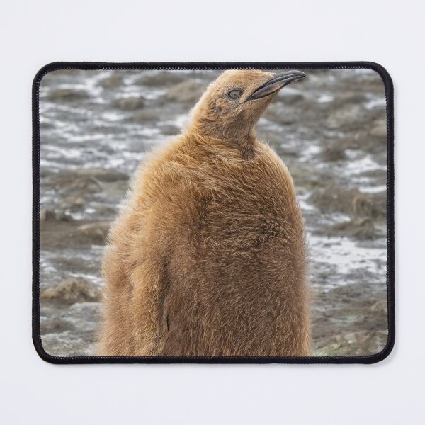 Item preview, Fluffy Penguin Chick in Snow designed and sold by PhotoArt by Joan Carroll.