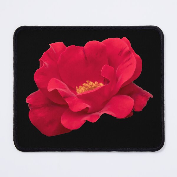 Item preview, Red rose in bloom designed and sold by KRFNatureGifts.