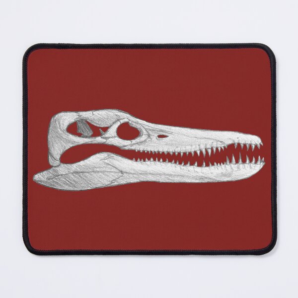Item preview, Pleiosaurus Skull designed and sold by DoodleSnake58.