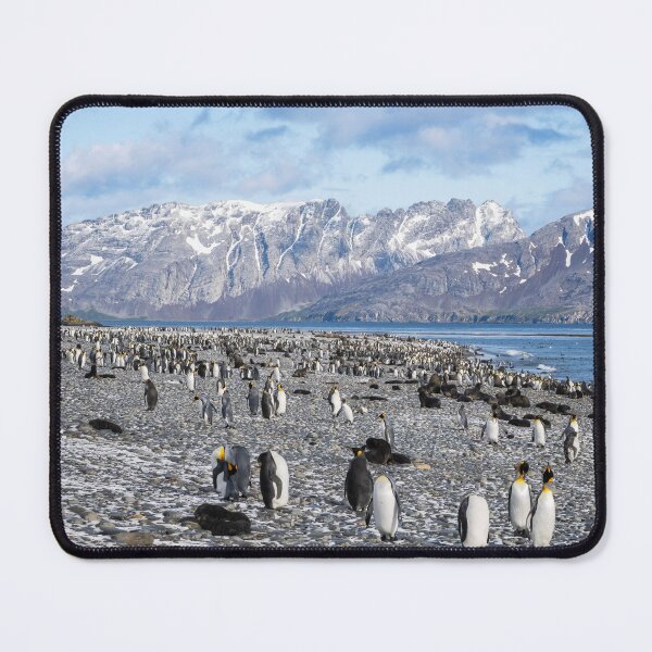 Item preview, Penguins on a Snowy Shoreline designed and sold by PhotoArt by Joan Carroll.