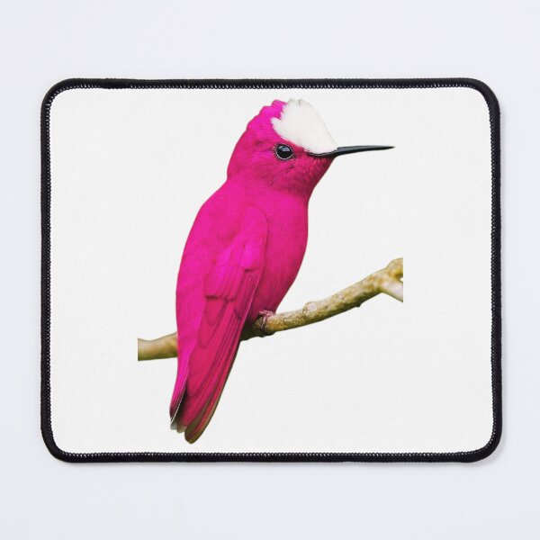 Item preview, Hummingbird designed and sold by di-Vera-Rosati.