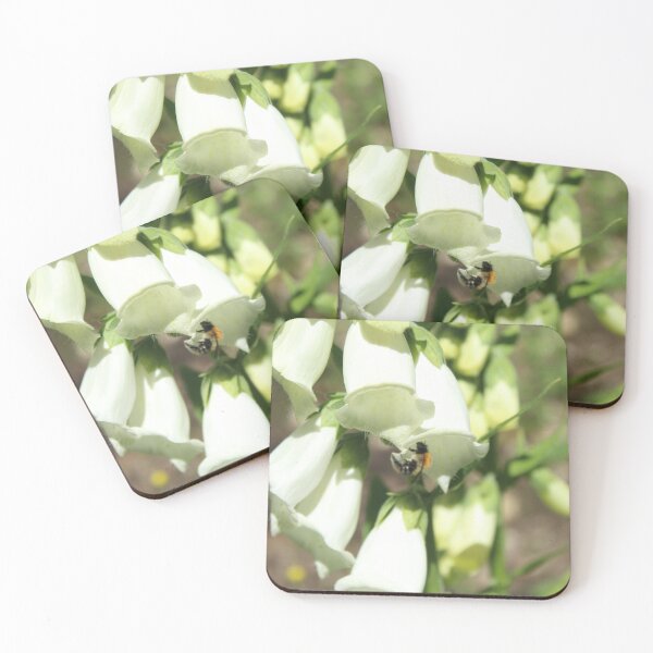 Item preview, Bumblebee pollinating white foxglove - Soft nature photography designed and sold by Cha-s-lens.