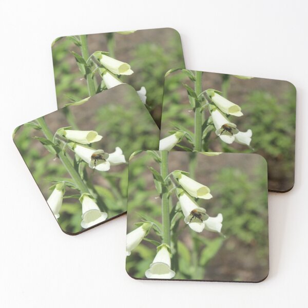 Item preview, Bumblebee gathering nectar - Soft nature photography designed and sold by Cha-s-lens.