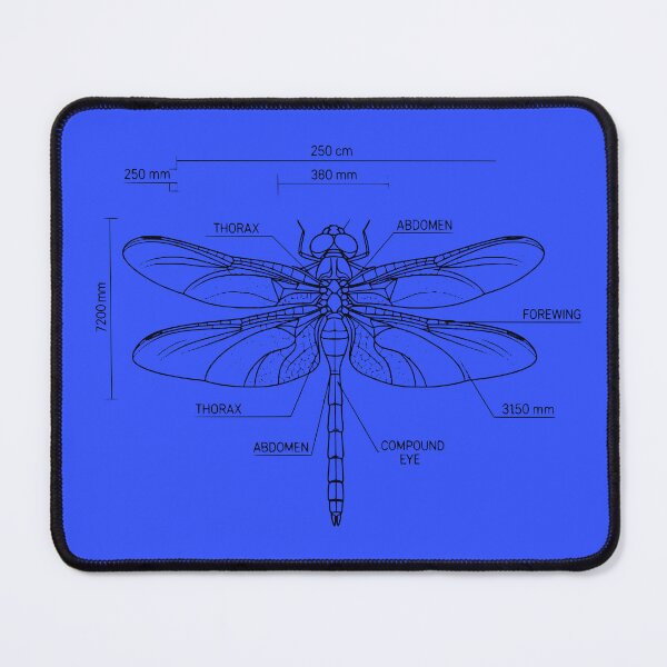 Item preview, Dragonfly Anatomy Technical Blueprint Illustration designed and sold by MarVan-Prints.