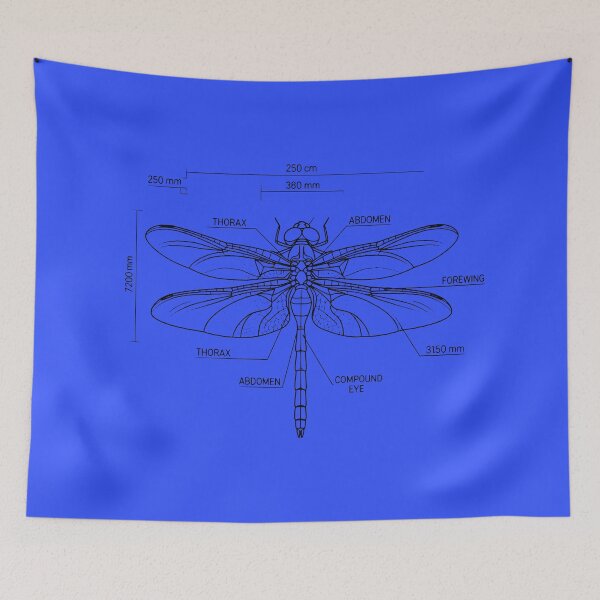 Item preview, Dragonfly Anatomy Technical Blueprint Illustration designed and sold by MarVan-Prints.