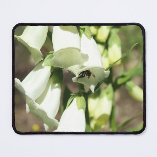 Item preview, Pollinator hiding in a foxglove - Soft nature photography designed and sold by Cha-s-lens.