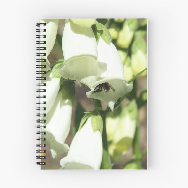 Item preview, Pollinator hiding in a foxglove - Soft nature photography designed and sold by Cha-s-lens.