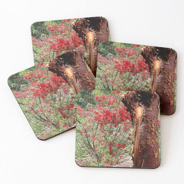 Item preview, Spring 3D Garden Scene designed and sold by BostonArcImage.