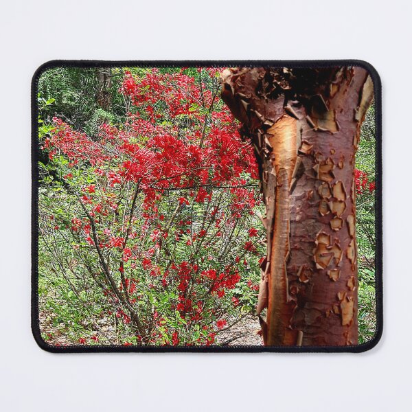 Item preview, Spring 3D Garden Scene designed and sold by BostonArcImage.