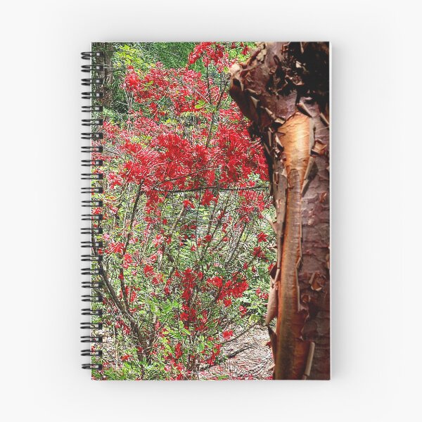 Item preview, Spring 3D Garden Scene designed and sold by BostonArcImage.