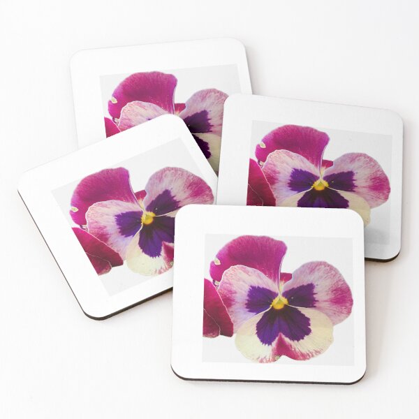 Item preview, Tricolor Purple and Cream Pansy Bloom Isolated on White designed and sold by BalkanBloom.