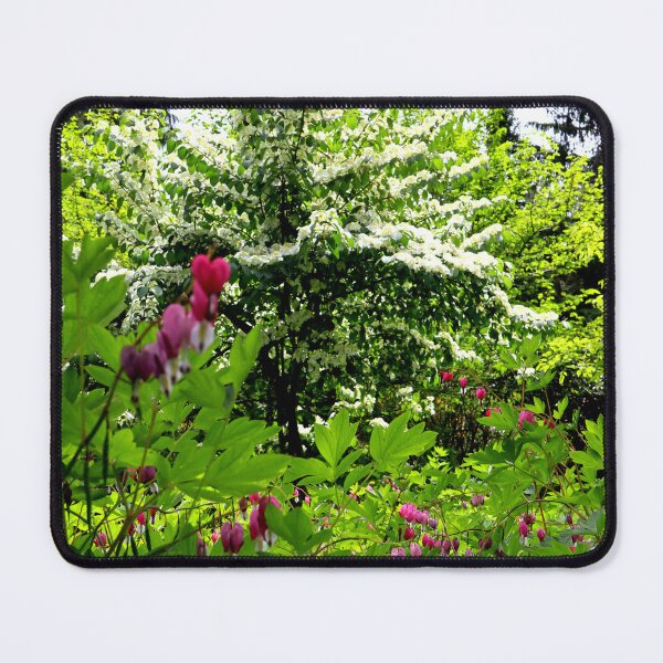 Item preview, Spring Scene Including Bleeding Hearts designed and sold by BostonArcImage.