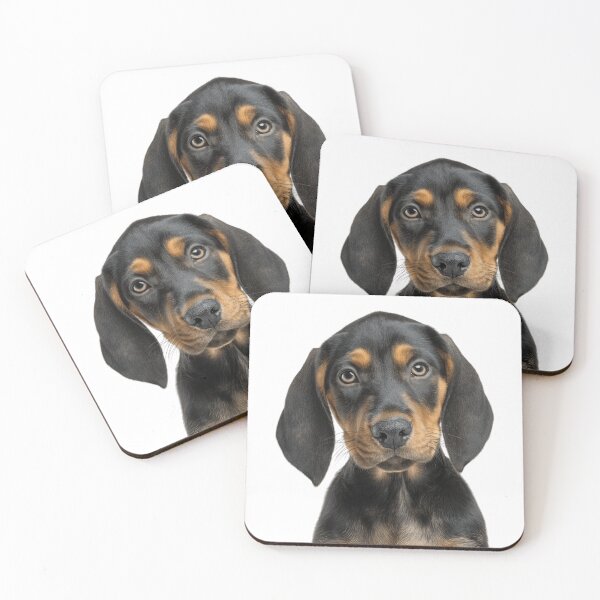 Item preview, Adorable Black and Tan Coonhound puppy for Cute Coonhound puppy lovers designed and sold by LazyOwlStore.