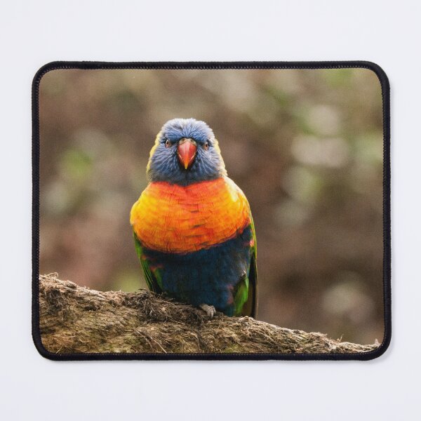 Item preview, Australian Bird Photography designed and sold by NatashaBalletta.