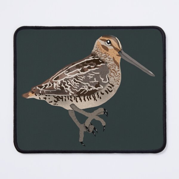 Item preview, Wilson's Snipe designed and sold by BDBirds.