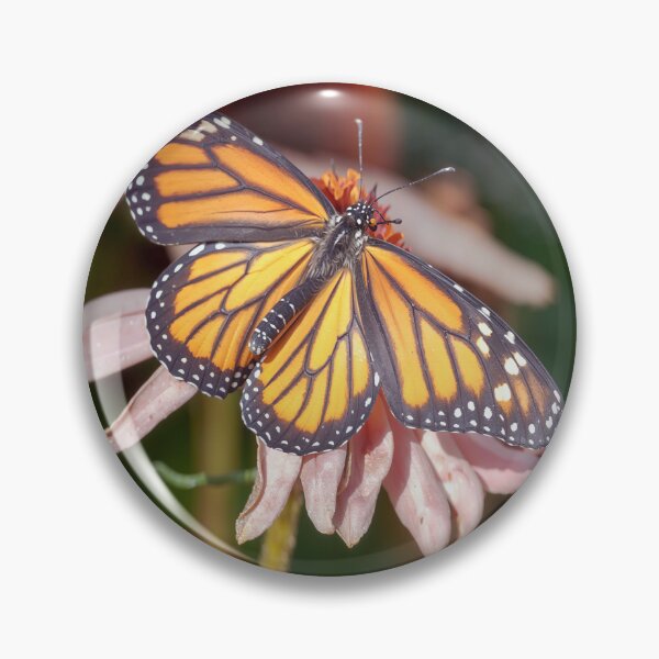 Item preview, Monarch Butterfly Resting on Purple Coneflower in Garden designed and sold by kornkobart.