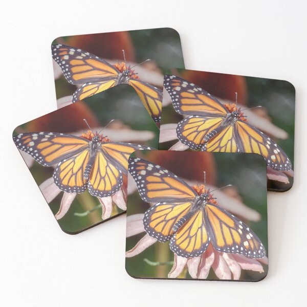Item preview, Monarch Butterfly Resting on Purple Coneflower in Garden designed and sold by kornkobart.