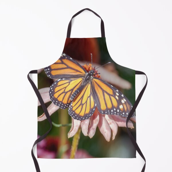 Item preview, Monarch Butterfly Resting on Purple Coneflower in Garden designed and sold by kornkobart.