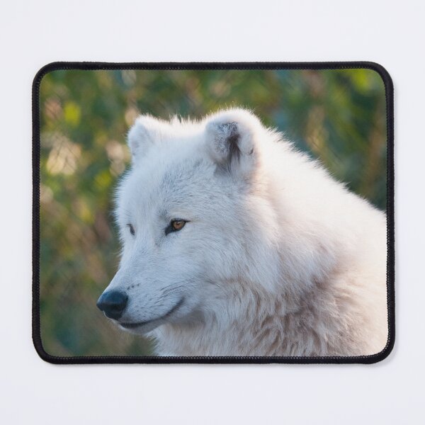 Item preview, Wolf Photography designed and sold by NatashaBalletta.